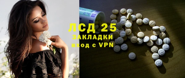индика Армянск