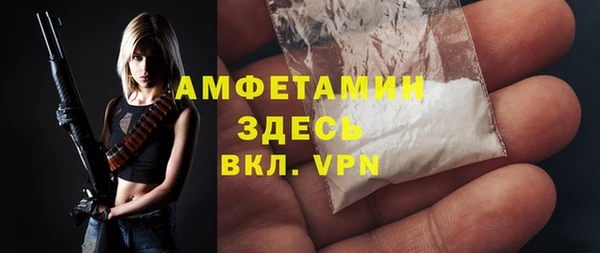 индика Армянск