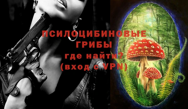 индика Армянск