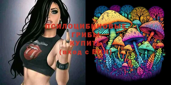 метадон Арсеньев