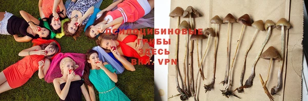 молекула духа Аркадак