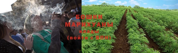 молекула духа Аркадак