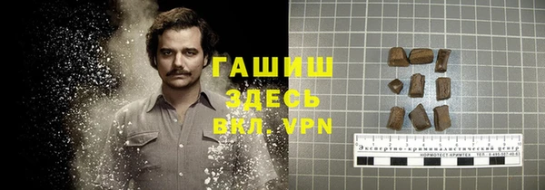 индика Армянск