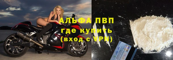 индика Армянск